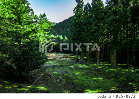大板山たたら製鉄遺跡　世界遺産　萩 95578873