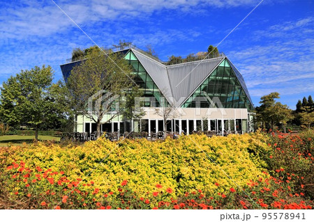 フラワーパーク江南散策・37(木曽三川公園・愛知県江南市) フラワーパーク江南散策・37(木曽三川公園・愛知県江南市) 95578941