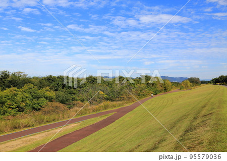 フラワーパーク江南散策・110（木曽三川公園・愛知県江南市） 95579036