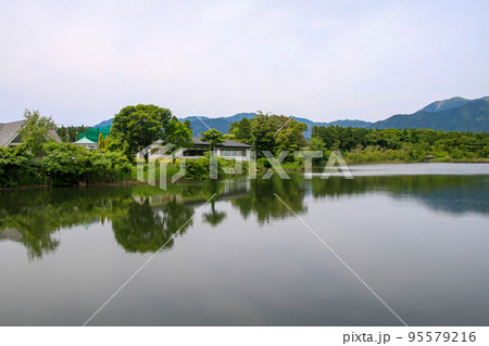 両ヶ池公園 95579216