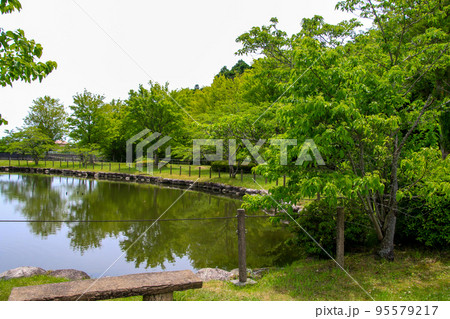 両ヶ池公園 両ヶ池公園 95579217