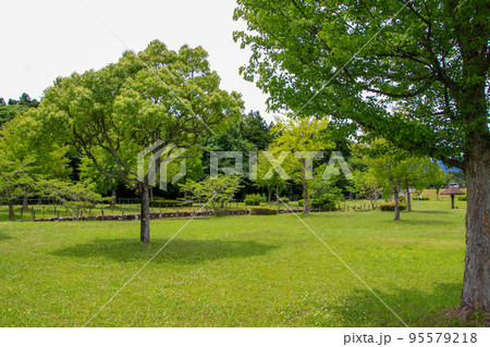 両ヶ池公園 両ヶ池公園 95579218