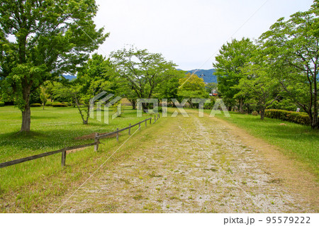 両ヶ池公園 両ヶ池公園 95579222