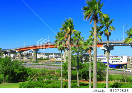 【熊本県】晴天の天草瀬戸大橋 【熊本県】晴天の天草瀬戸大橋 95579388