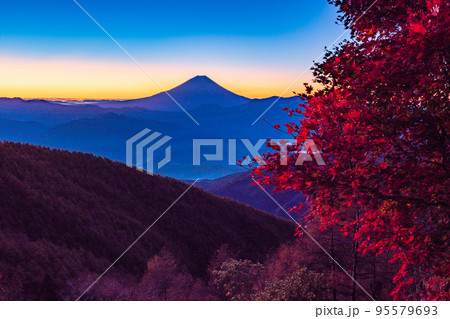 (山梨県)紅葉が美しい櫛形山から望む富士山・夜明け前 (山梨県)紅葉が美しい櫛形山から望む富士山・夜明け前 95579693