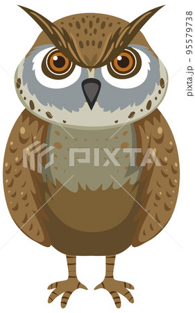 Front of owl in cartoon styleのイラスト素材 [95579738] - PIXTA
