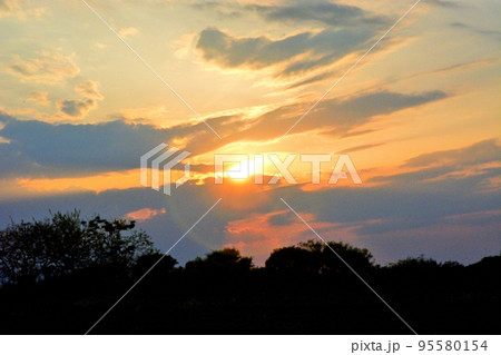 桶川市泉福寺前の河川敷の夕景 95580154
