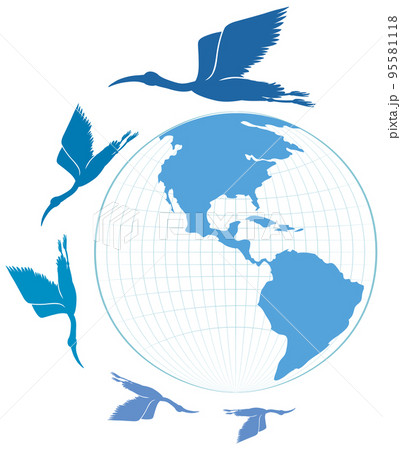 Silhouette stork birds flying on earth Silhouette stork birds flying on earth 95581118