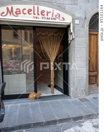 精肉店でおこぼれを待つ猫 95581164