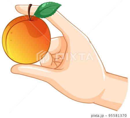 Hand holding a peach 95581370