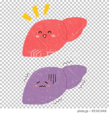 健康な肝臓と不調な肝臓のセットイラスト 95581448