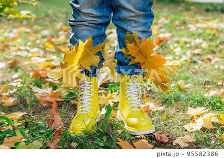 Yellow rubber boots on the grass with bouquete of yellow maple leaves inside. 95582386