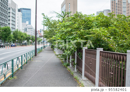 外堀通り／東京都新宿区 95582401