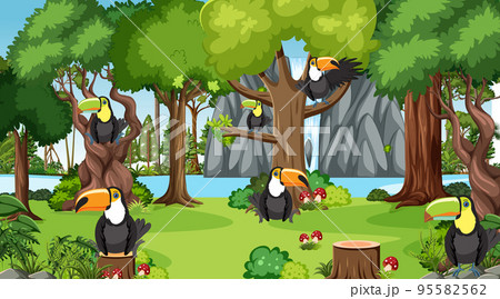 Toucan birds in the jungle scene 95582562