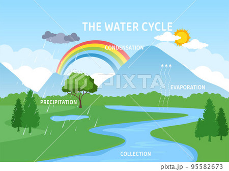Water Cycle of Evaporation, Condensation, Precipitation to Collection in Earth natural environment on Flat Cartoon Hand Drawn Template Illustration 95582673