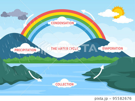 Water Cycle of Evaporation, Condensation, Precipitation to Collection in Earth natural environment on Flat Cartoon Hand Drawn Template Illustration 95582676