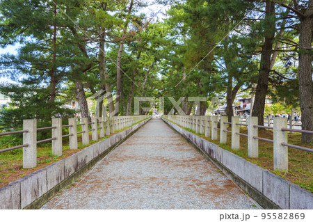 法隆寺　南大門へ向かう長い参道の松林 95582869