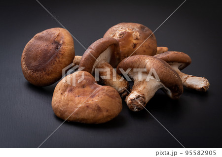 ザルに置かれた椎茸　Shiitake  95582905