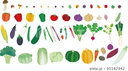 野菜のベクターイラスト 野菜のベクターイラスト 95582942