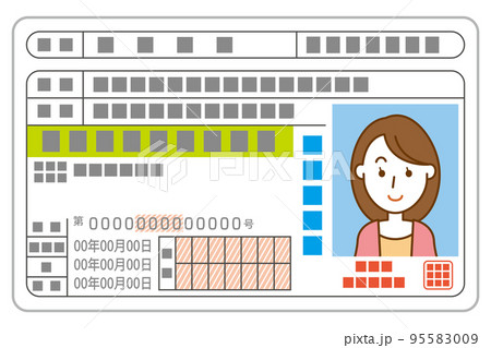 グリーンの運転免許証のイメージイラスト　初心者 95583009