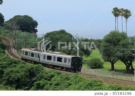 フェニックスを背景に宮崎の海岸沿いを行く普通列車 95583296