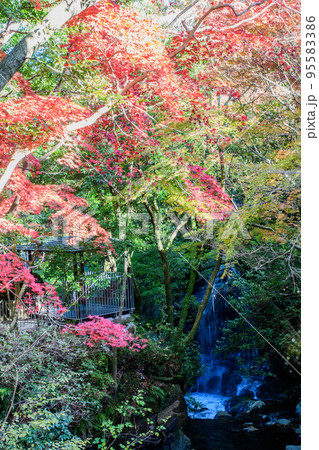 湯河原万葉公園（湯河原惣湯） 95583386