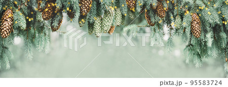 Winter Christmas tree branches with cones in blurred defocused snow with lights border. Copy space. Wide banner. Selective focus on cones Winter Christmas tree branches with cones in blurred defocused snow with lights border. Copy space. Wide banner. Selective focus on cones 95583724