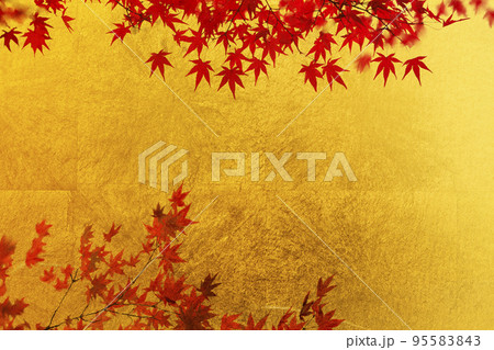 金屏風に楓の紅葉 金屏風に楓の紅葉 95583843