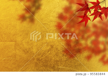 金屏風に楓の紅葉 金屏風に楓の紅葉 95583844