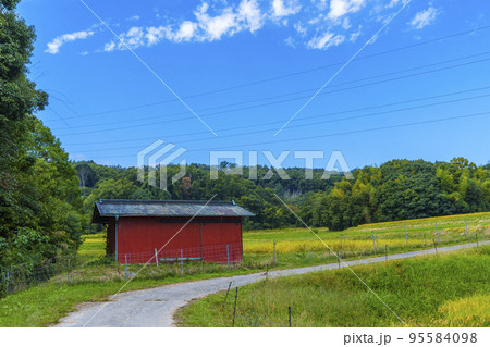 田舎の長閑な風景【奈良県生駒郡斑鳩町】 95584098