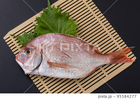 鯛 sea bream 鯛 sea bream 95584277