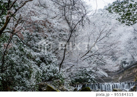 湯河原の雪景色(冬の景色) 湯河原の雪景色(冬の景色) 95584315
