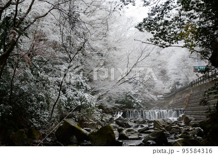 湯河原の雪景色(冬の景色) 湯河原の雪景色(冬の景色) 95584316