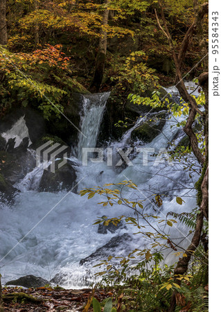 青森県 十和田奥入瀬渓流 平成の乱04 95584343