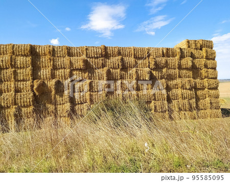 Big haystacks at field close-up at beautiful summer rural landscape at Bulgaria Big haystacks at field close-up at beautiful summer rural landscape at Bulgaria 95585095