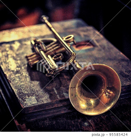 ペット ペット 95585424