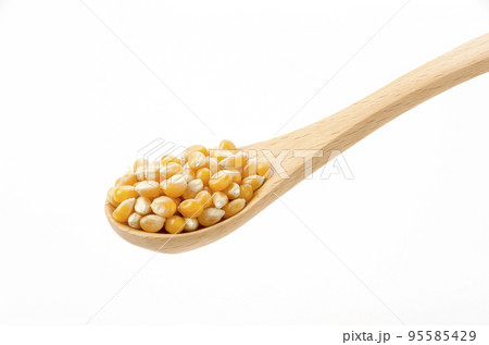 ポップコーンの種　乾燥トウモロコシ 95585429