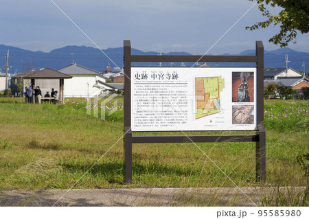 史跡 中宮寺跡 コスモスの花(奈良県斑鳩町) 史跡 中宮寺跡 コスモスの花(奈良県斑鳩町) 95585980
