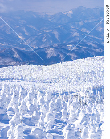 樹氷原と山々を見渡す (山形県、地蔵山頂駅) 樹氷原と山々を見渡す (山形県、地蔵山頂駅) 95586569