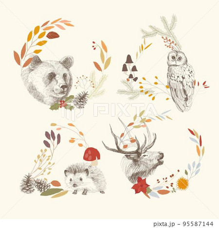 Vector Card with Hand Drawn Animals in Autumn Wreaths with Leaves and Fir Cones Vector Card with Hand Drawn Animals in Autumn Wreaths with Leaves and Fir Cones 95587144