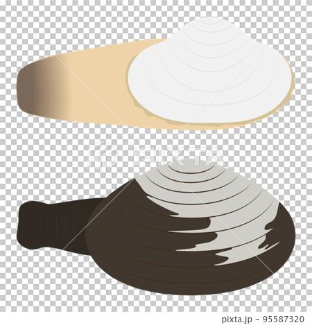 clam illustrations 95587320