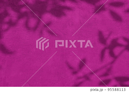 Shadow of leaves on pink concrete wall texture background 95588113