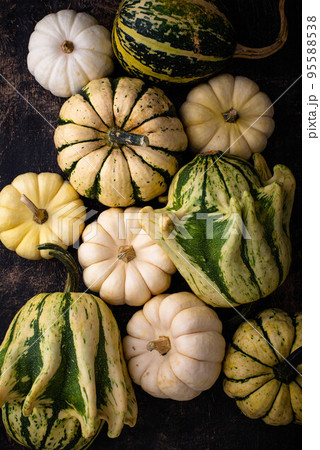 Autumn fall background with pumpkins 95588538