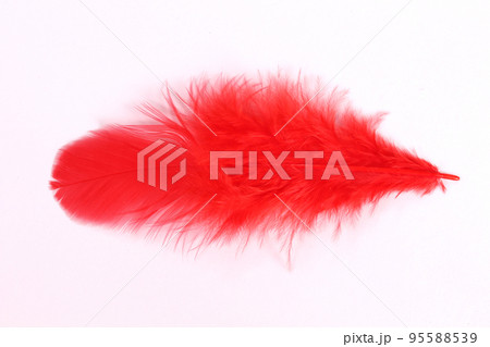 募金イメージ　白背景の赤い羽根 95588539