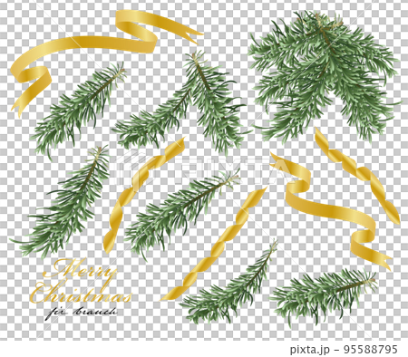 fir branch christmas illustration material vector gold ribbon fir branch christmas illustration material vector gold ribbon 95588795