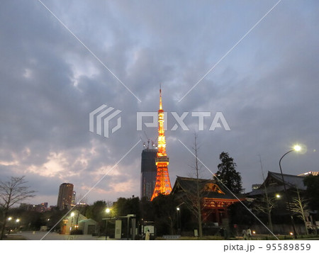 芝公園から見えるの日没後の東京タワー 95589859