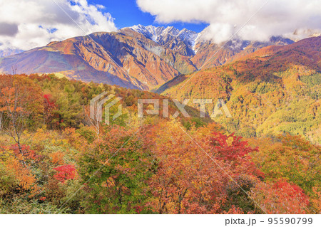 秋の岩岳マウンテンリゾートからの三段紅葉 95590799