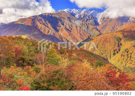 秋の岩岳マウンテンリゾートからの三段紅葉 秋の岩岳マウンテンリゾートからの三段紅葉 95590802