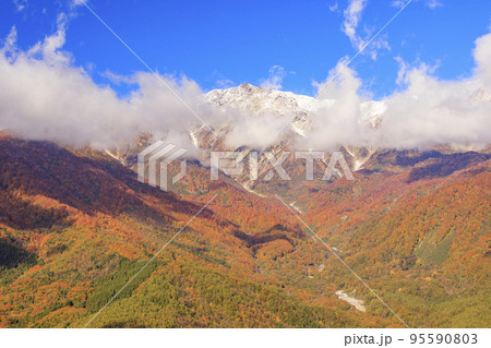 秋の岩岳マウンテンリゾートからの三段紅葉 95590803