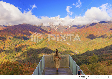 秋の岩岳マウンテンリゾートからの三段紅葉 秋の岩岳マウンテンリゾートからの三段紅葉 95590804